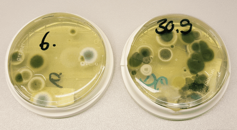 Hygienelabor • Labor Enders