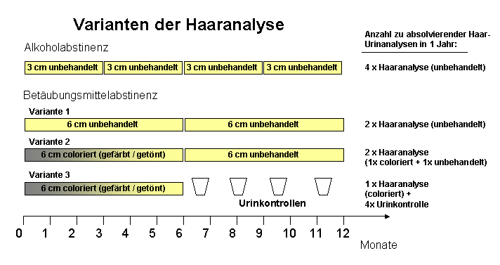 Abbildung: Dauer der möglichen Anstinenzbelege von Haranalysen und deren mögliche
 Kombination mit Urinscreenings.